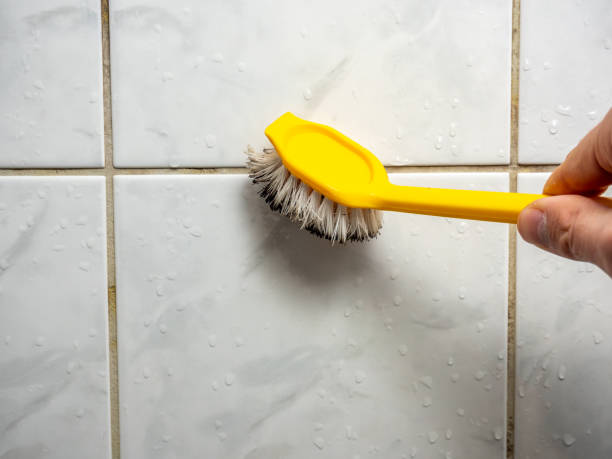 Best Professional Mold Removal  in Rockwood, MI