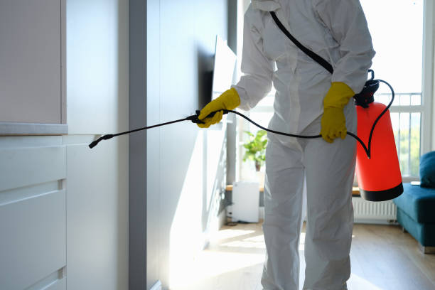  Rockwood, MI Mold Removal Pros