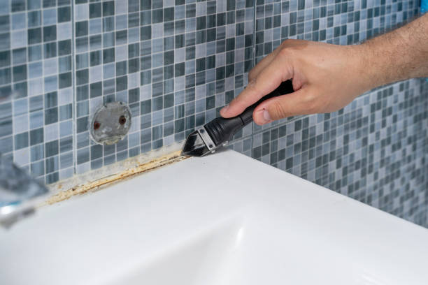 Best Mold Removal Near Me  in Rockwood, MI
